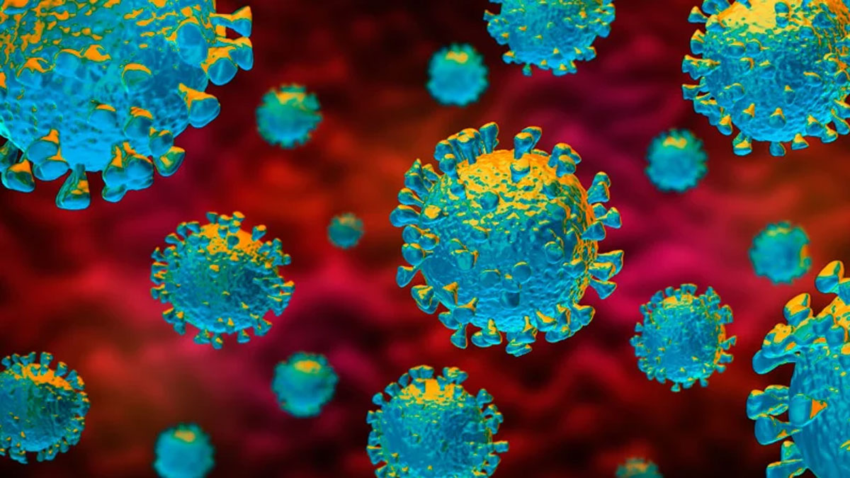 Malaysia Needs A Pandemic Production Act